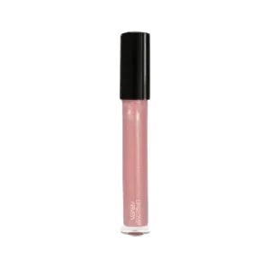 Lip gloss lady gum L png