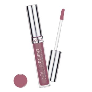 Focus point perfect gleam lipgloss 113